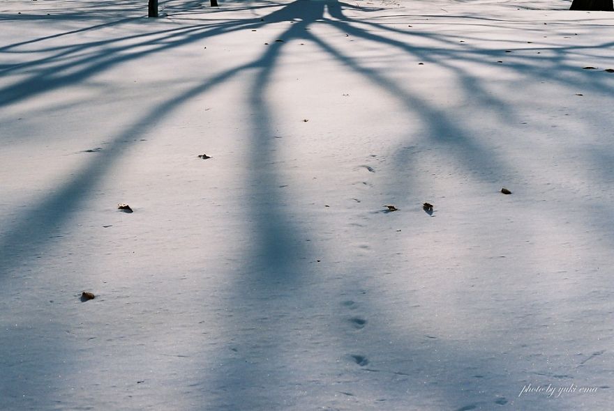 Winter In Japan