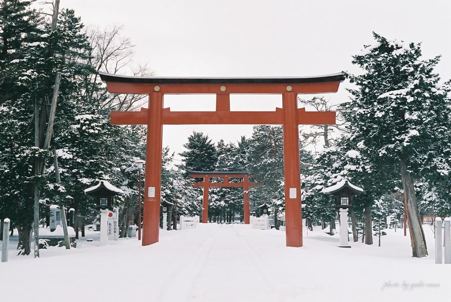 Winter In Japan