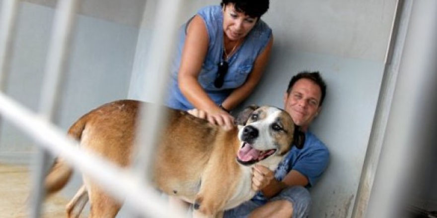 Famous Prankster Rémi Gaillard Saved Hundreds Of Dogs And Cats