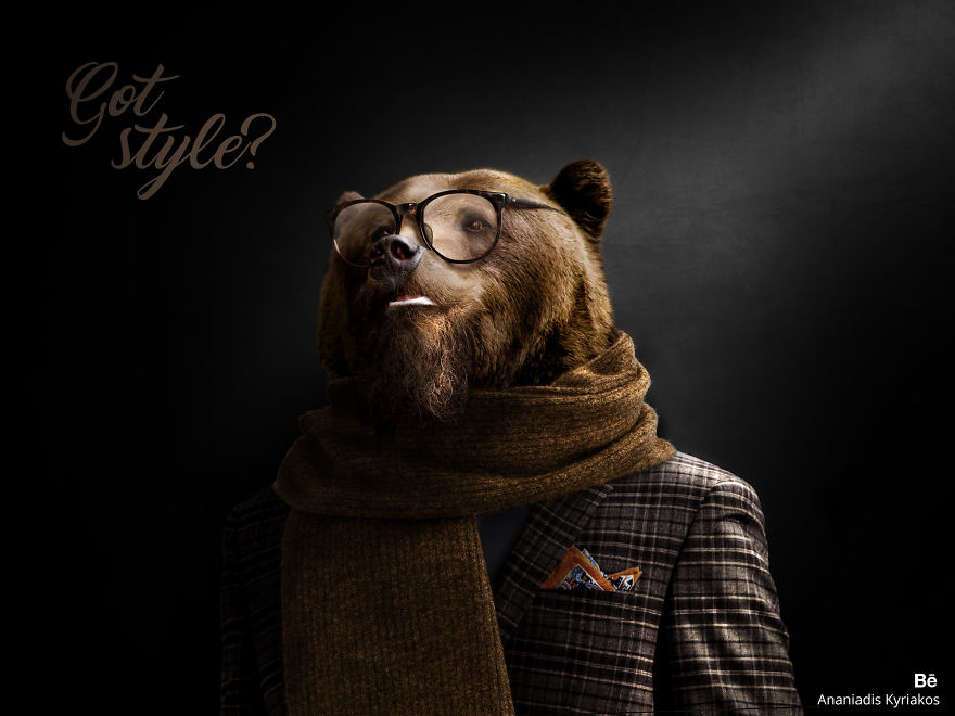 The Hipster Bear
