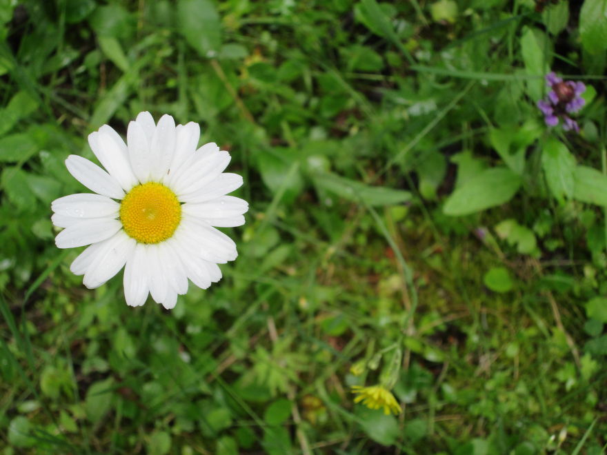 I Spend Time Camping To Take Nature Shots