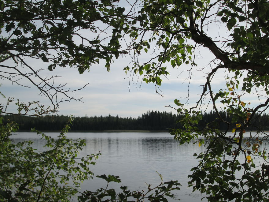 I Spend Time Camping To Take Nature Shots