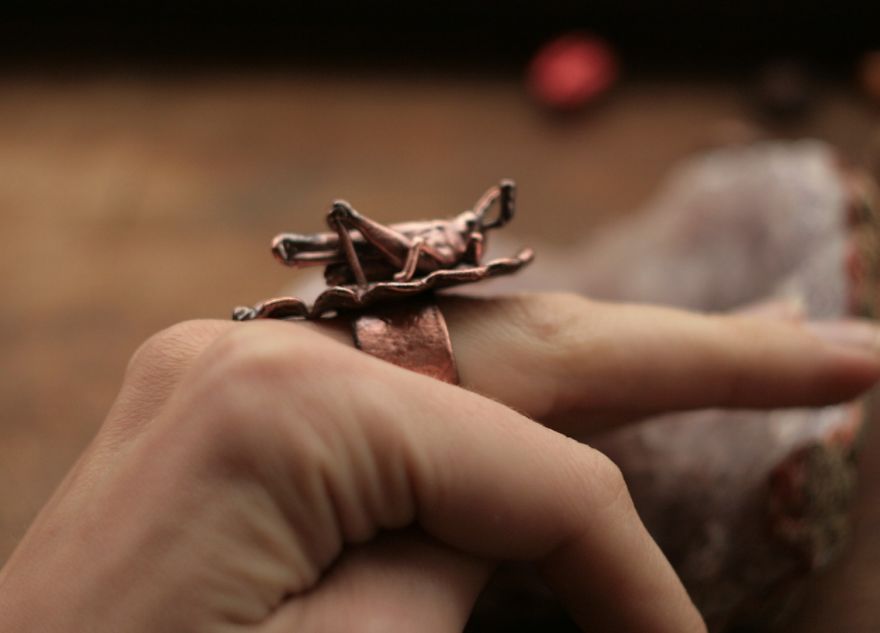 Unique Jewelry Made From Natural Objects Using Electroplating Method