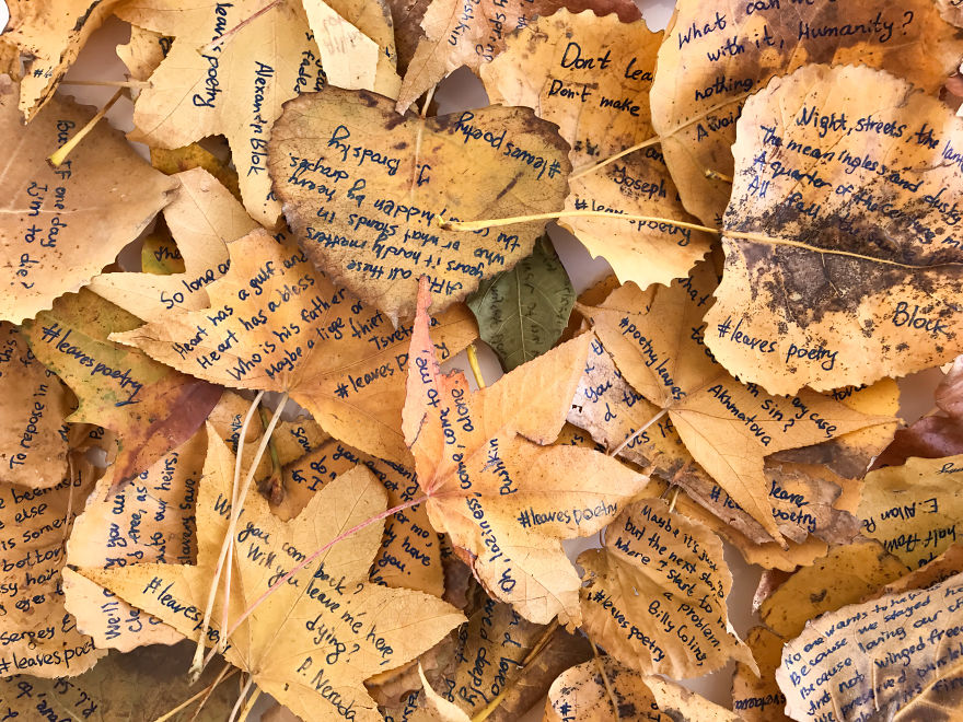 I Left 86 Leaves With Handwritten Poetry In NYC Parks For People To Find