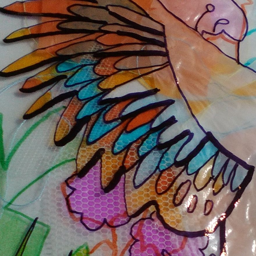 I Surprised Myself With This Bird.