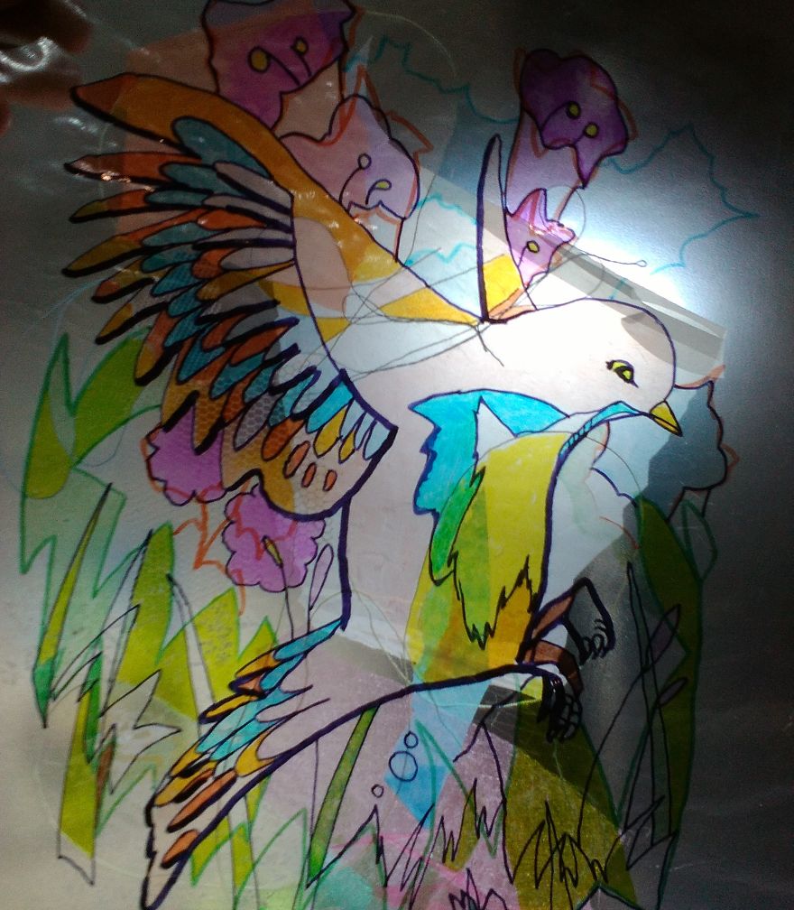 I Surprised Myself With This Bird.