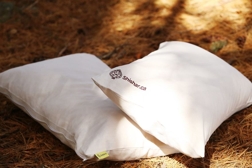 Would You Sleep On A Pine-Scented Pillow Every Night?