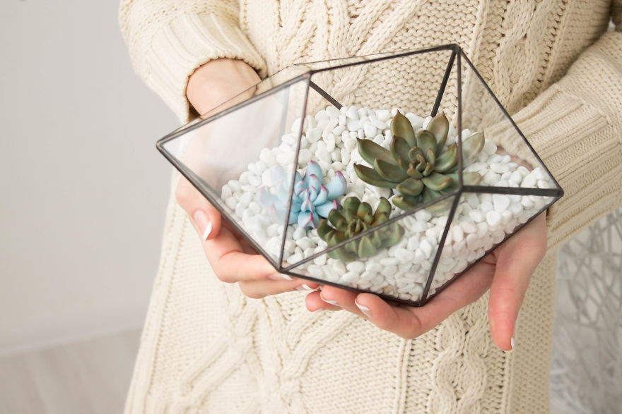 I 'Plant' My Polymer Clay Succulents In Tiny Fairy Gardens