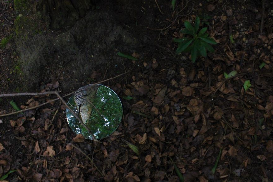 I Photographed A Mirror To Show The Unseen