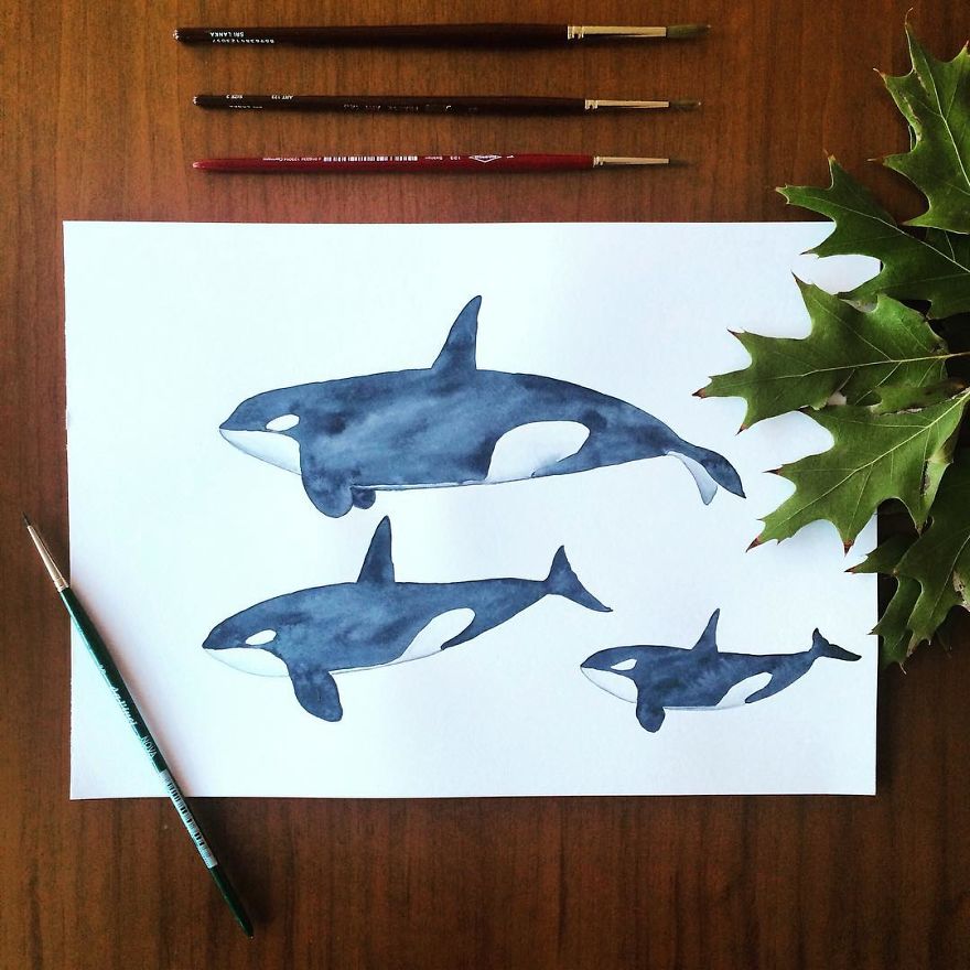 Orca, The Reason I Chose "the Marine Animals" Theme For The Inktober Challenge