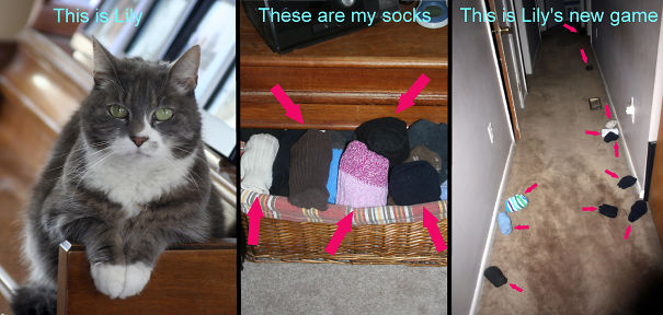 Lily-and-the-socks-581cecc66a739.jpg
