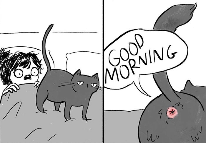 Artist Illustrates What It’s Like To Live With Cats (35 Pics)