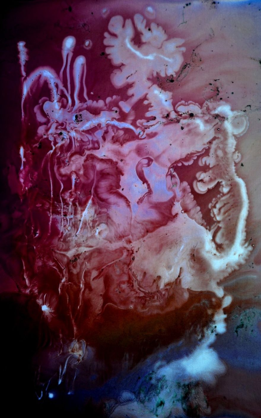Organic Paint&deg;