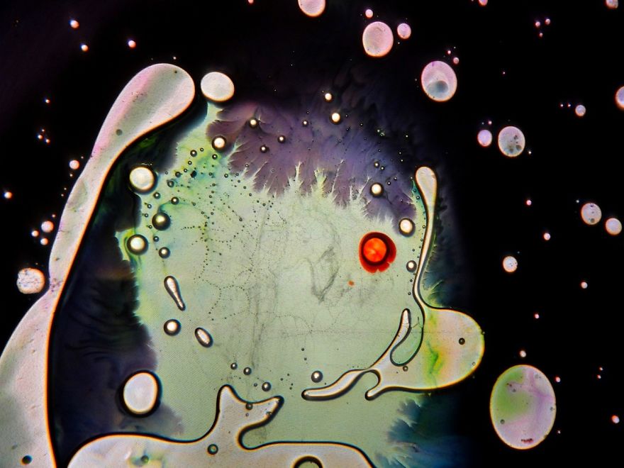 Organic Paint&deg;