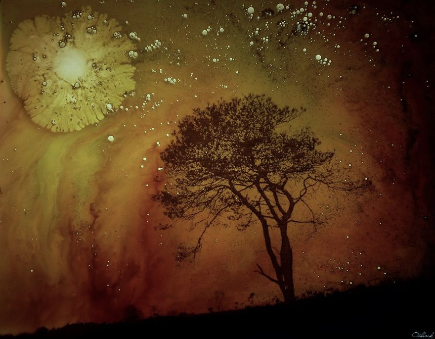 Organic Paint&deg;