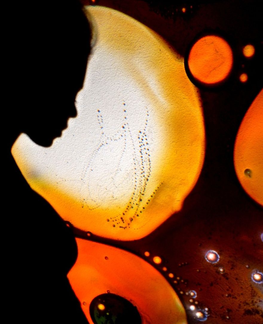 Organic Paint&deg;