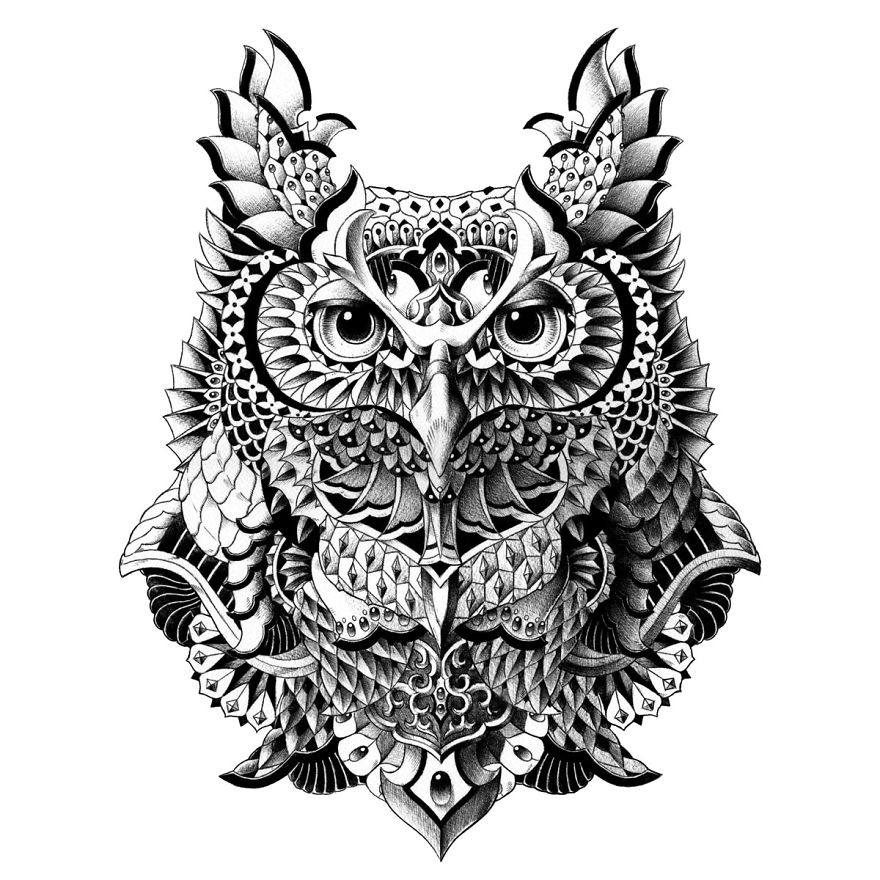 Century Owl