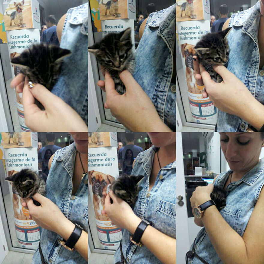 Pepe - The Little Cat And His Amazing Recovery Pepe - The Little Cat And His Amazing Recovery