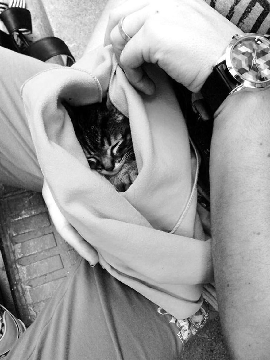 Pepe - The Little Cat And His Amazing Recovery Pepe - The Little Cat And His Amazing Recovery