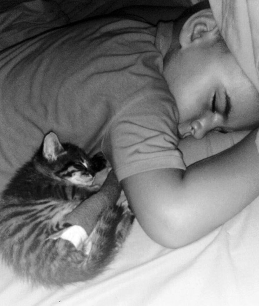 Pepe - The Little Cat And His Amazing Recovery Pepe - The Little Cat And His Amazing Recovery