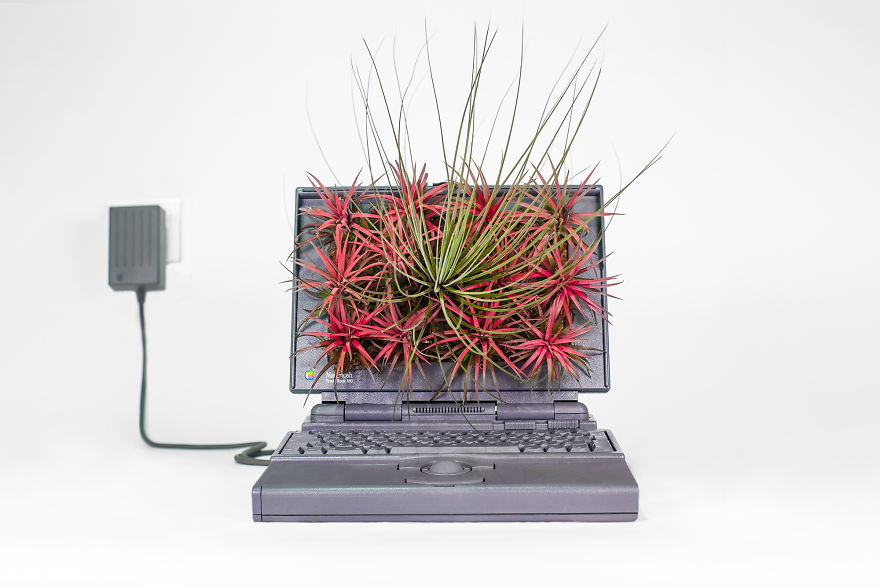 We Converted Vintage Apple Computers Into Terrariums To Bring Society Closer To Nature
