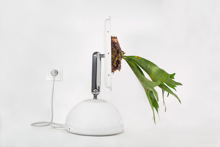 We Converted Vintage Apple Computers Into Terrariums To Bring Society Closer To Nature