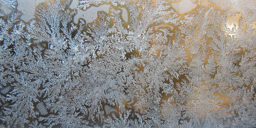 Before Scraping The Frost Off My Car On These Chilly Mornings, I Like To Stop And Appreciate Jack Frost's Delicate Artistry