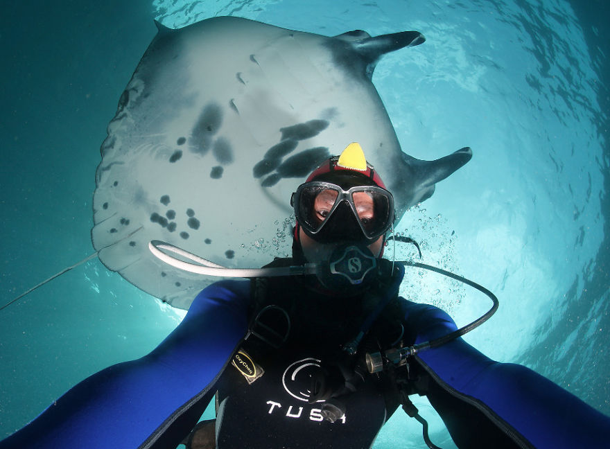 I Take Underwater Selfies With Ocean Wildlife Like A Boss