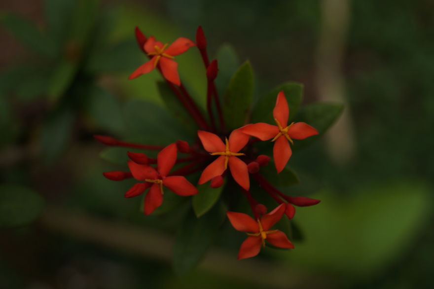 The Amazing Southern India - A Small Photographic Documentation