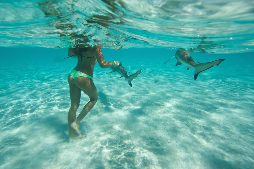 Girls Swimming With Stingrays & Sharks Prove That We Have Little To Fear From Them