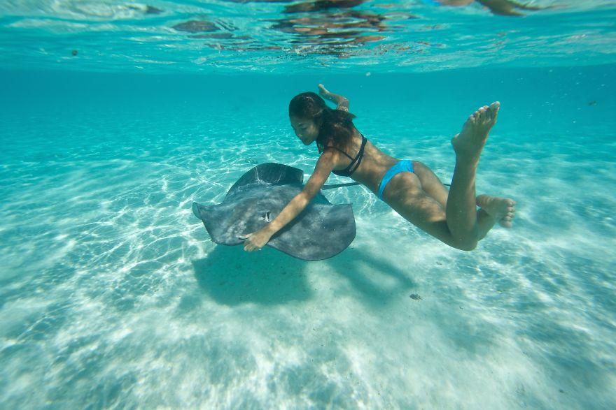 Girls Swimming With Stingrays & Sharks Prove That We Have Little To Fear From Them
