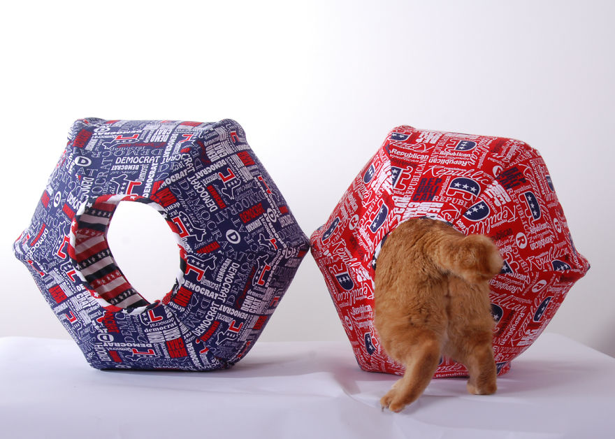 I Made A Feline Voting Booth Contraption