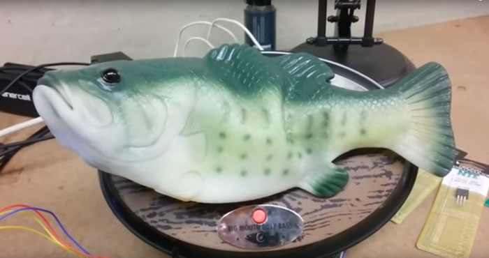 Some Genius Hacked Amazon’s Alexa And Turned It Into Big Mouth Billy Bass