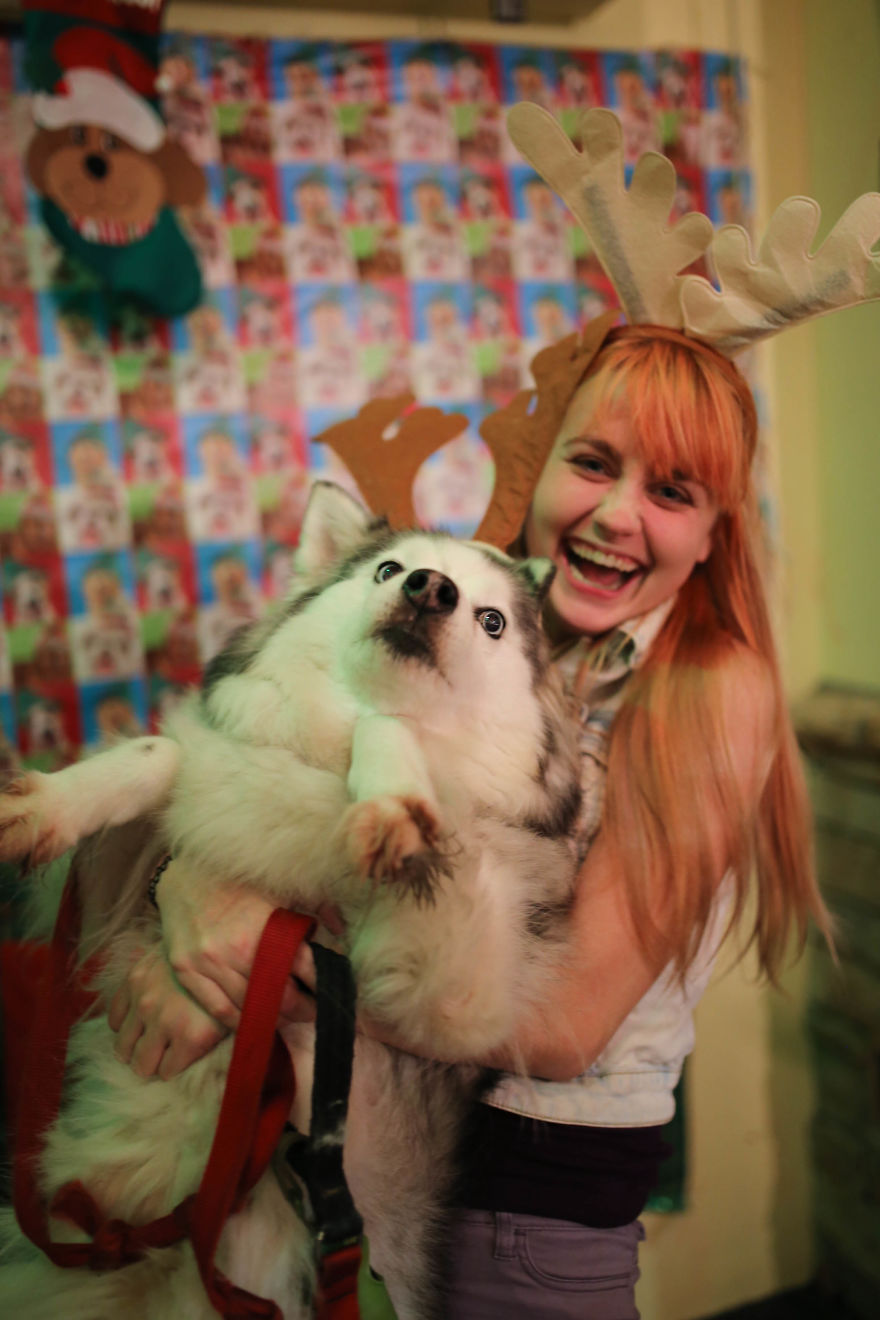  New post sign in sign up Next Post I tried to take a cute christmas photo holding my dog...