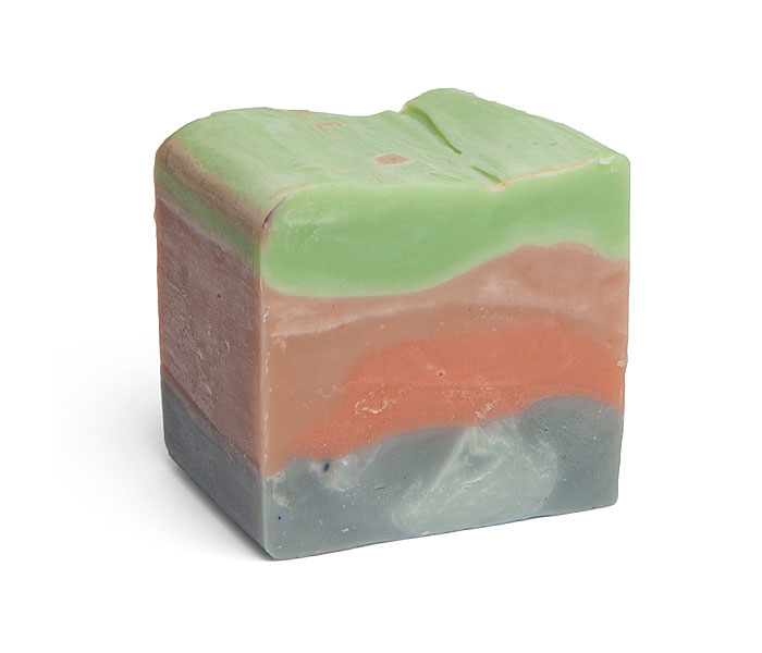archaeology-soap-dinosaurs-outlaw-soaps-2