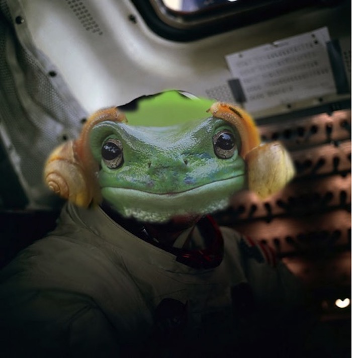 Frog Armstrong