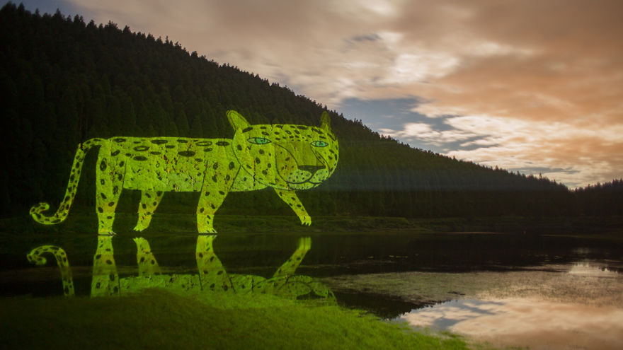 Nature Projections In São Miguel Island, Portugal
