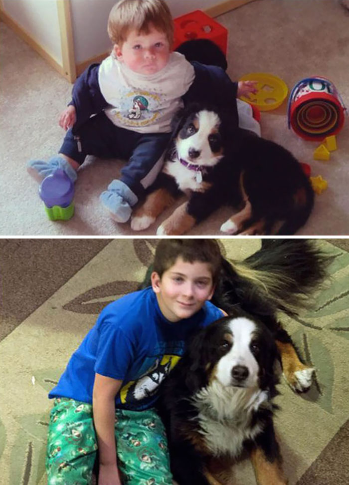 Dylan Was About 14 Months Old And Kobe Was About 9 Weeks In The First Picture. Now Dylan Is 12 And Kobe Is 11