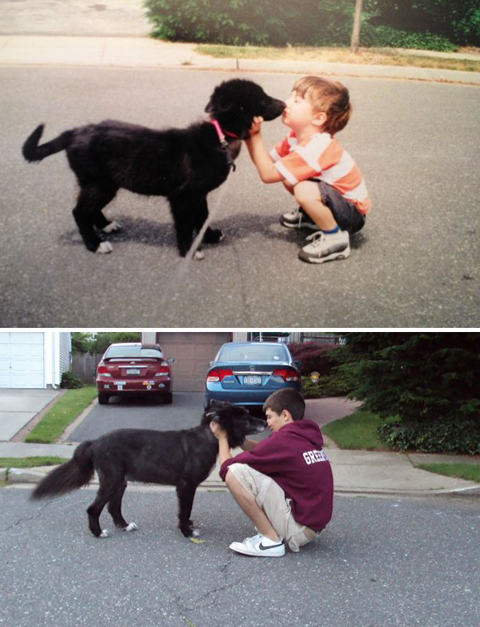 Dog And Little Brother 13 Years Then And Now