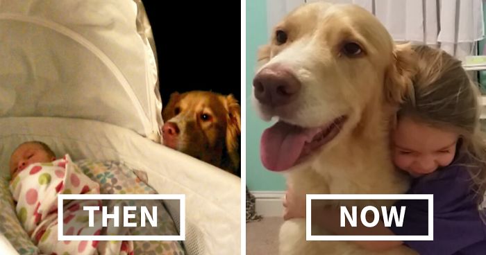 108 Before-And-After Pics Of Dogs And Their Owners Growing Up Together