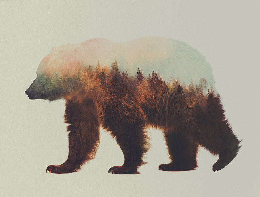 I Combine Animals And Landscapes In My Double Exposure Artwork