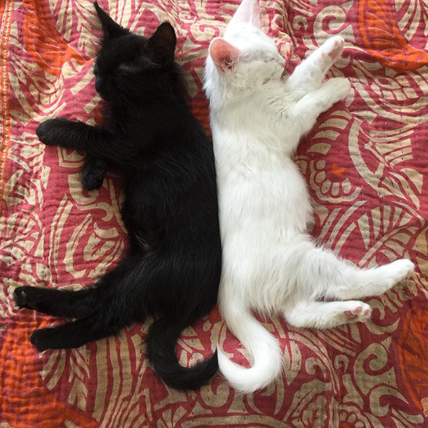 He Is The Yin To Her Yang