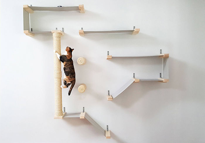 Best Pet Gifts This Christmas