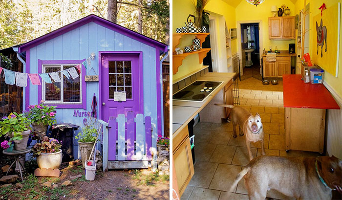 Shelter Builds Private Cottages For Dogs, Because Animals Shouldn’t Live In Cages