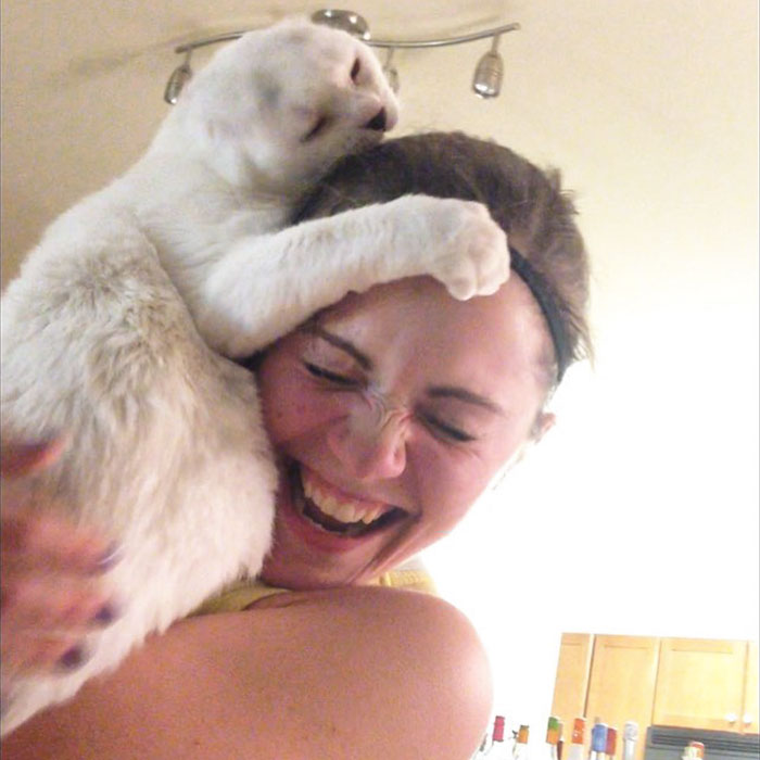 Woman Adopts Earless And Deaf Senior Cat Everybody Ignored, And Later He Saves Her