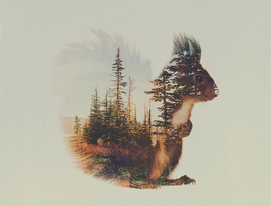 I Combine Animals And Landscapes In My Double Exposure Artwork