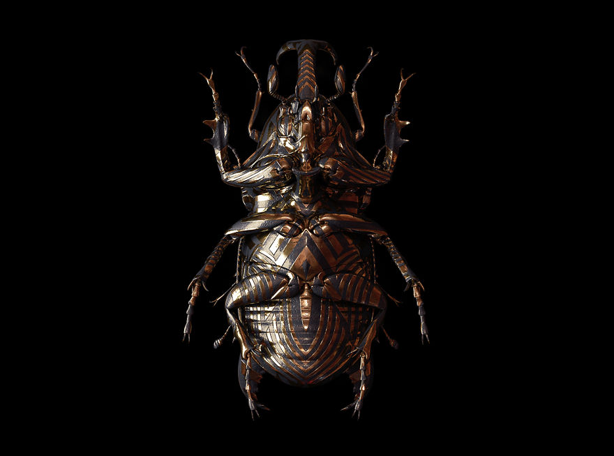 Engraved-entomology-by-billelis