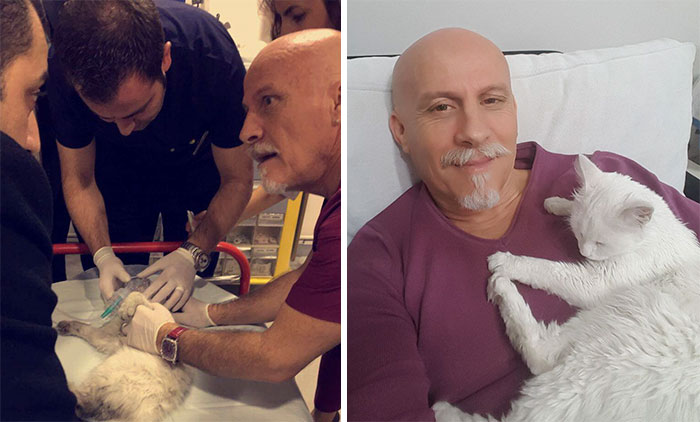 Emergency Doctor Uses CPR on Stray Cat To Save Her Life, Adopts Her Afterwards