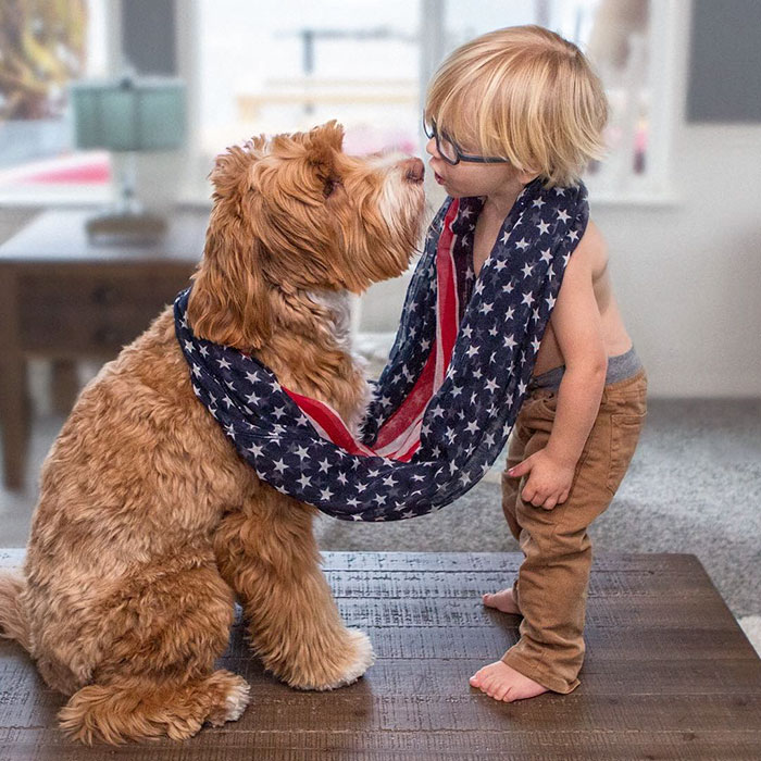 Heartwarming Friendship Between Boy And His Dog