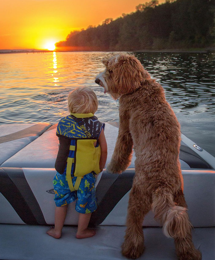 Heartwarming Friendship Between Boy And His Dog
